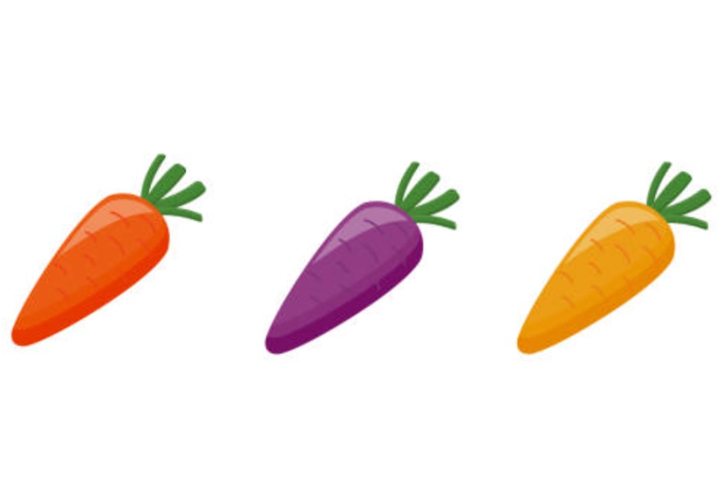 The purple carrot